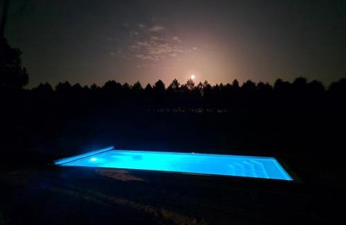 Arx House | Calme et paisible maison au milieu de la foret