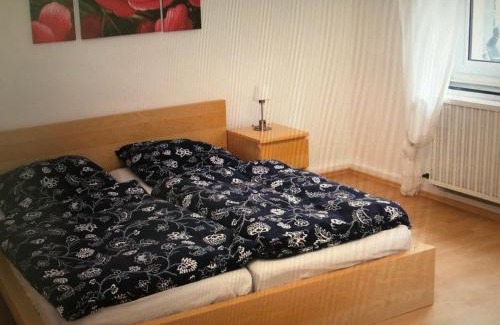 Satu Mare Apartment | Camera de închiriat pentru 2 persoane