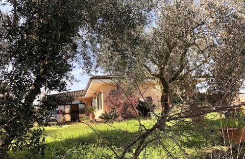 Nettuno House | Camera Ginevra