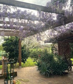 Nettuno House | Camera Ginevra