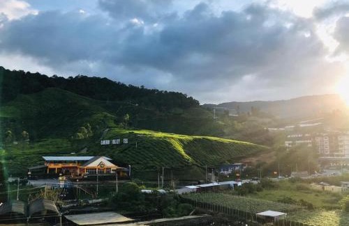 Kampung Raja Apartment | Cameron Highlands Modern7-Tea Plantation View-Premium Hotel Bed