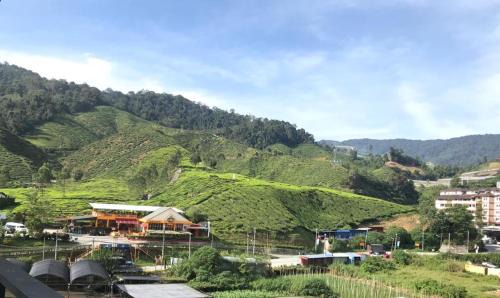Kampung Raja Apartment | Cameron Highlands Modern7-Tea Plantation View-Premium Hotel Bed
