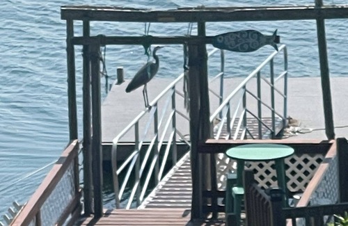 Sebascodegan Island House | Camp Forever cottage