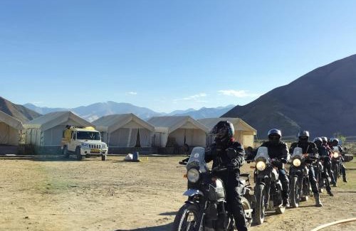 Hanle Other | Camp Norling Stars - Koyul