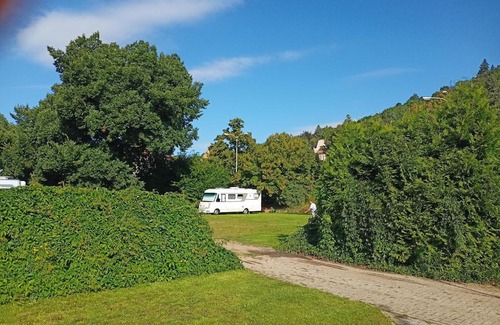 Troja Other | Camp Sokol Troja