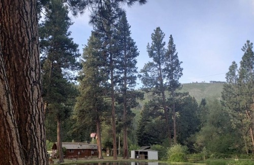 Ravalli County Other | CAMP SULA - RV SPOT #10 - back in , 20 foot or less RV