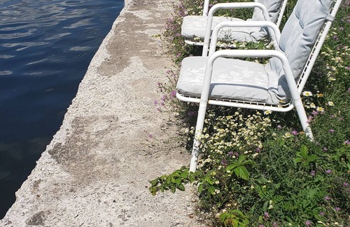 Trent Hills House | Campbellford Studio Unit Apt 5