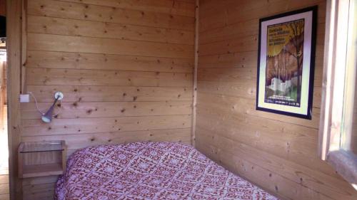 Jaca Other | Camping Aín Jaca