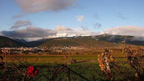 Jaca Other | Camping Aín Jaca