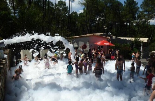 Joyeuse House | Camping Bois Simonet**** - Chalet Mimosa Bleu 4 rooms 8 people Air-conditioned