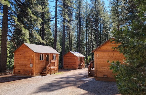 Shingletown Cabin | Camping Cabin B at Bigfoot Lodging Lassen NP