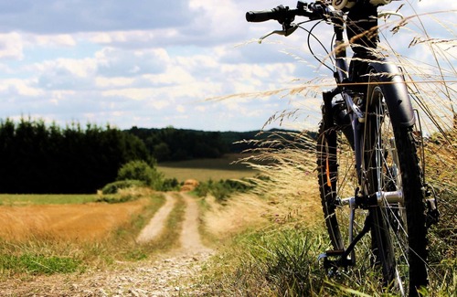 Argonne Ardennaise Ski Chalet | Camping Flower la Samaritaine*** - Standard Chalet 3 rooms 4/6 people