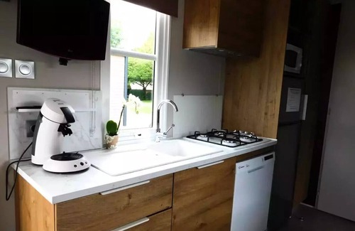 Saint-Vincent-de-Cosse House | Camping Flower le Tiradou*** - Mobile Home Premium O'hara 3 rooms 4 people Air-conditioned