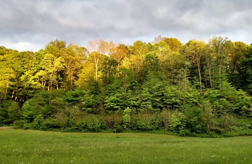 McArthur RV Rental | Camping in Hocking Hills on Altenbrauch Farm