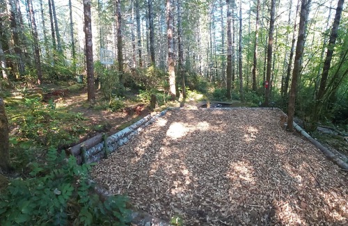 Belfair RV Rental | Camping in the Shire at Elfendahl Forest.