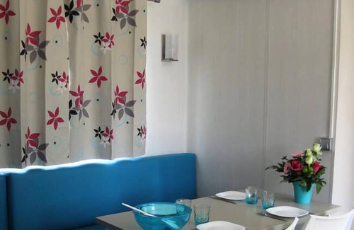 Chaille-les-Marais House | Camping l'Ile Cariot *** - 3 room mobile home 6 people