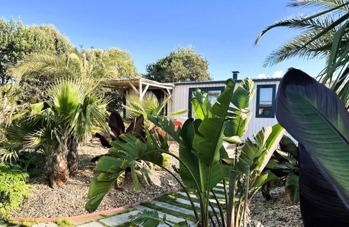 Brignogan-Plage House | Camping La Côte des Légendes * - Exotic Garden Cottage - 2 Bedrooms 4 people