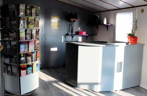 Balleroy House | Camping Le Clos de Balleroy *** - Mobil Home Tithome 3 Rooms 4/5 People