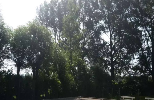 Licques House | Camping Pommiers Des 3 Pays**** - 4-room mobile home for 6 people