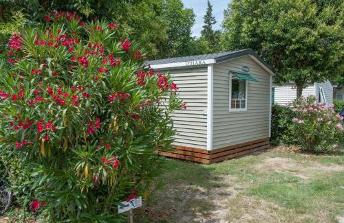 Tarascon Other | CAMPING SAINT GABRIEL *