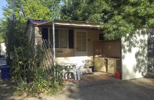 Pisa Other | Camping Village Torre Pendente