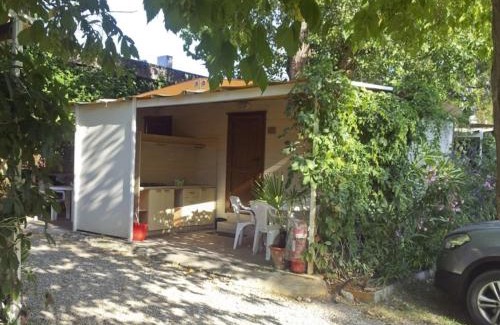 Pisa Other | Camping Village Torre Pendente