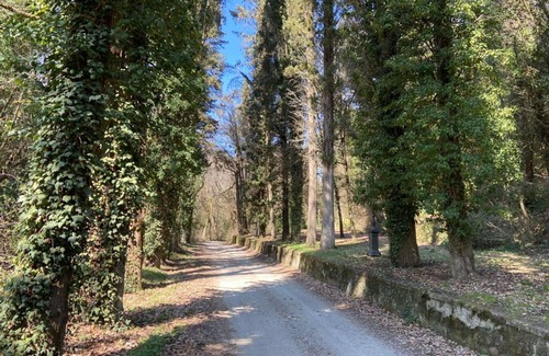 Cincelli Apartment | Campoleone 7 - Apartment on historical property near Arezzo, Tuscany