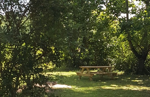 Penrose RV Rental | Campsite #1 ! Private Tent Camping near Dupont!