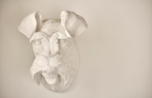 Cort Apartment | Can Savella - Turismo de Interior