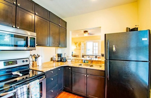 Hyde Park Apartment | Can't Buy Me Love - U of Tampa Flat in N Hyde Park
