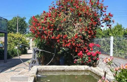 Vouzela House | Candieira