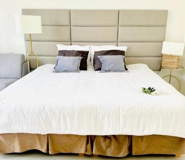 Cannes City Centre Apartment | Cannes Croisette - Studio Palais Miramar - Across the Beach - Next to Carlton Hotel