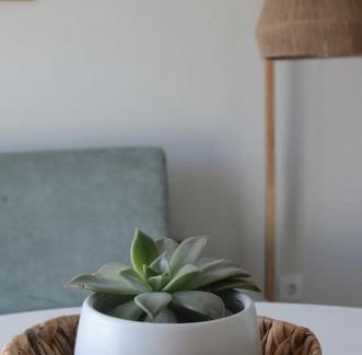 Livramento Apartment | Cantinho do Pópulo