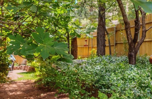Sedona Cabin | Canyon Wren Honeysuckle 1 Bedroom Cabin by RedAwning