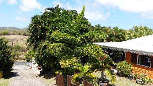 Sainte-Anne House | Cap Martinique