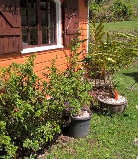 Sainte-Anne House | Cap Martinique