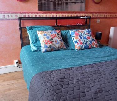 Tarbes Apartment | Cap Sud - 53m2- VUE PYRENEES- HYPERCENTRE-WIFI FIBRE -Nouvelle literie