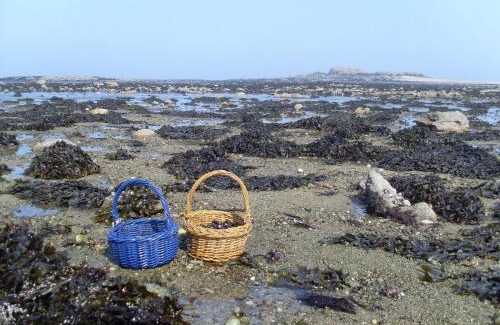 Plougoulm House | Cap sur Pen ar Valy à Plougoulm
