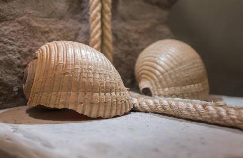 Tripiti Apartment | Capetan Nikolas-boat house