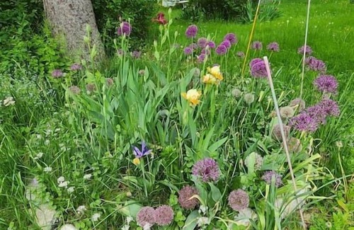 Montgomery House | Cardinal Farm-The Finch Room