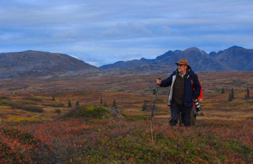 Susitna North Cabin | Caribou Lodge Alaska