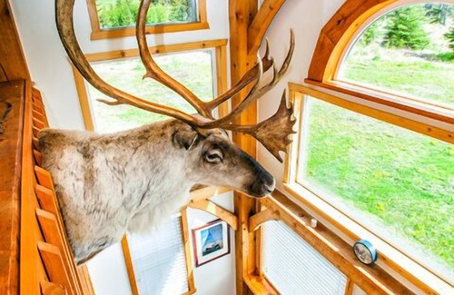 Fritz Creek House | Caribou Meadows by Historic Kilcher Family Homestead in Alaska The Last Frontier