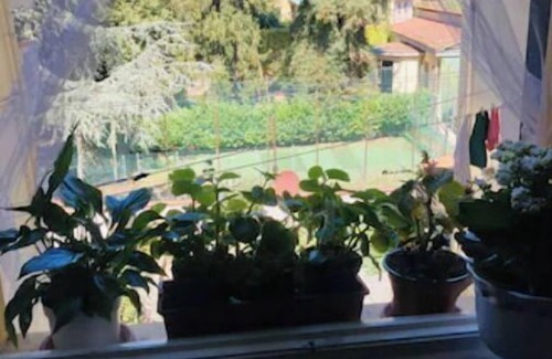 Lucca Historical Center Apartment | Carla Apartment - Very large and panoramic - Historical center of Lucca