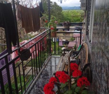Kobuleti Apartment | Carotene by the sea