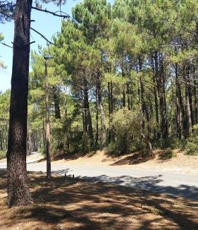 Soustons House | CARPE DIEM - La Villa des Vacances