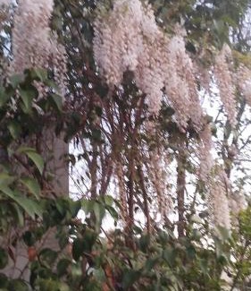 Suipacha House | Casa 1936