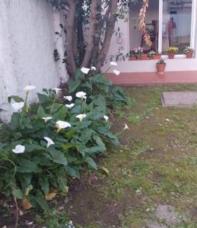 Suipacha House | Casa 1936