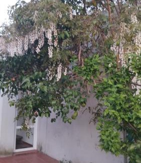 Suipacha House | Casa 1936