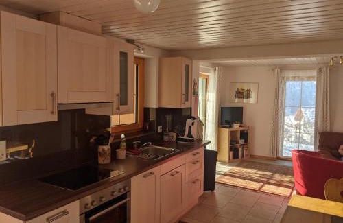 Tavanasa Apartment | Casa Acazia