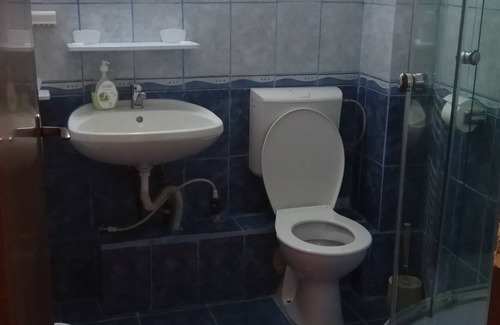 Sinaia House | Casa Adina